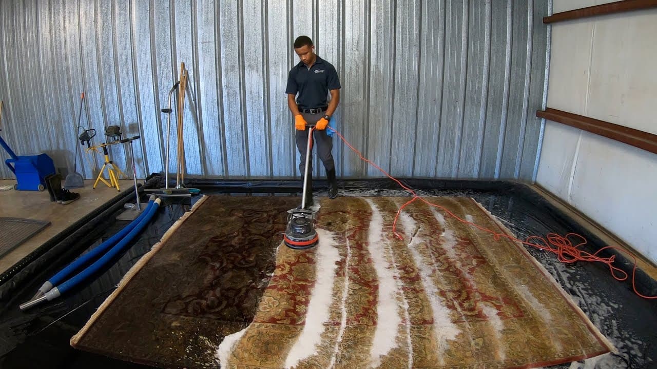 Exceptional Care for area rug cleaning hyde park austin tx Rugs