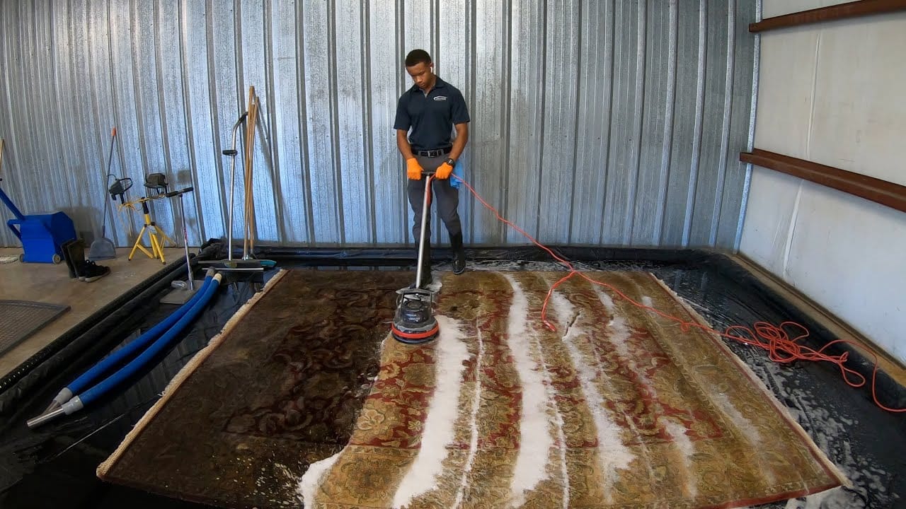 Exceptional Care for area rug cleaning hyde park austin tx Rugs