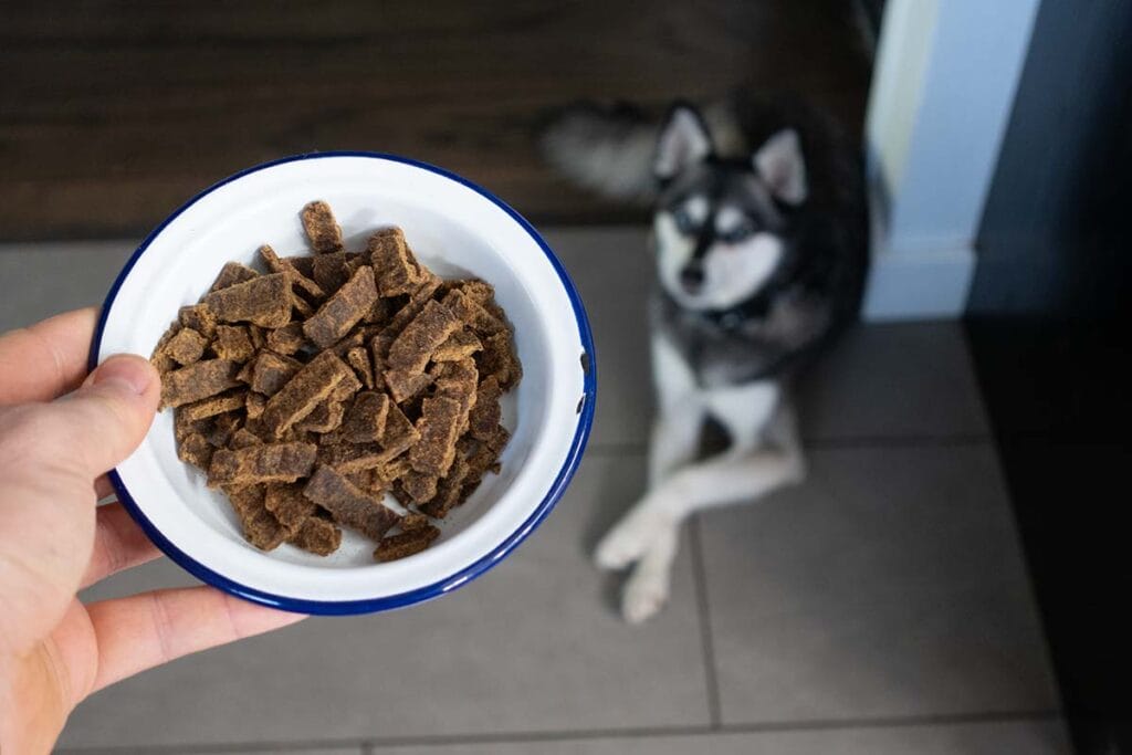 What Makes Badlands Ranch Dog Food Stand Out in the Premium Market