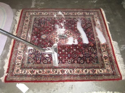 Exceptional Care for area rug cleaning hyde park austin tx Rugs