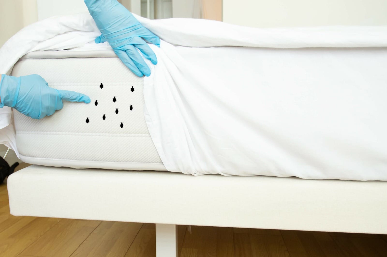 Mattress Cleaning Dubai – Instant Booking, Professional Results