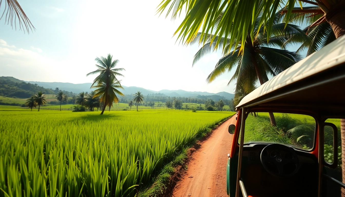 Sri Lankan landscape featuring rice paddies and tuk-tuks, representing https://privatetourssrilanka.com tourism.