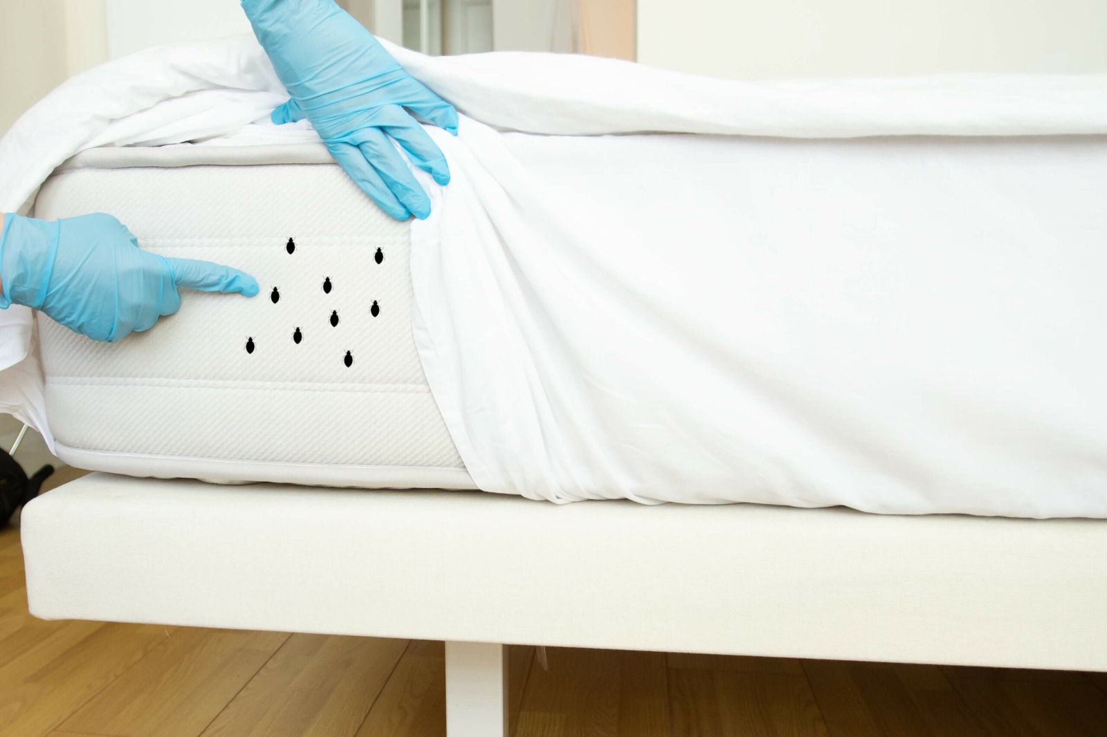 Mattress Cleaning Dubai – Instant Booking, Professional Results