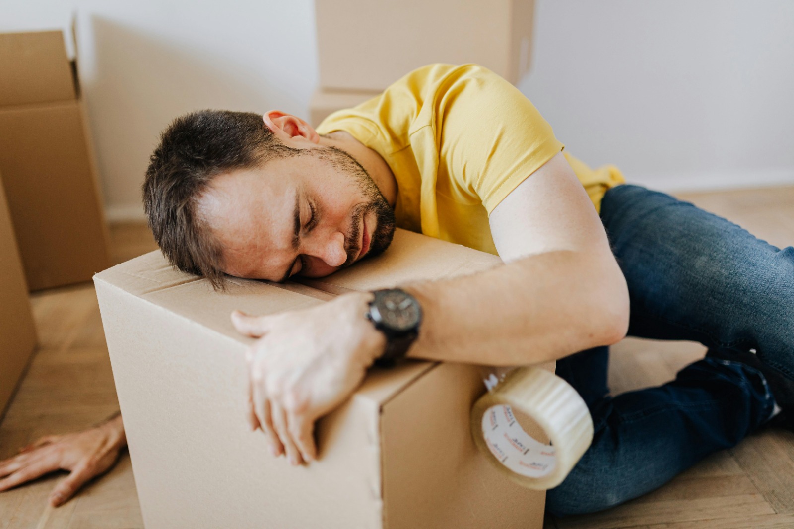 Expert Moving Services for Small and Large Moves