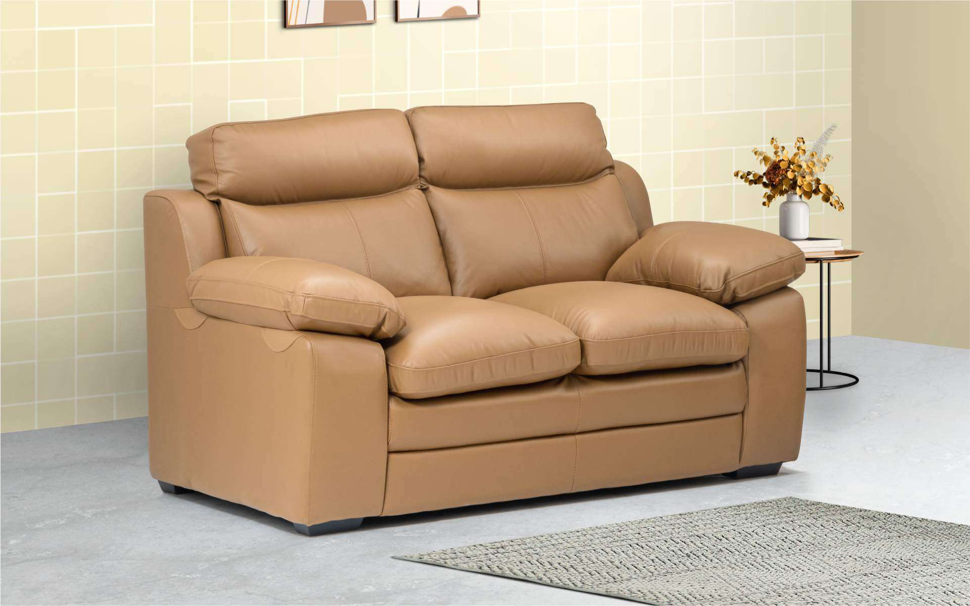 Crafted for Comfort and Style: 2 Seater Sofas
