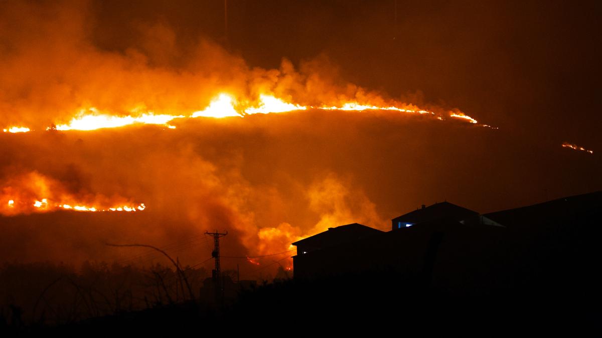 Wildfire Events | Unforgettable Kids’ Parties & Activity Days in Perth and Kinross