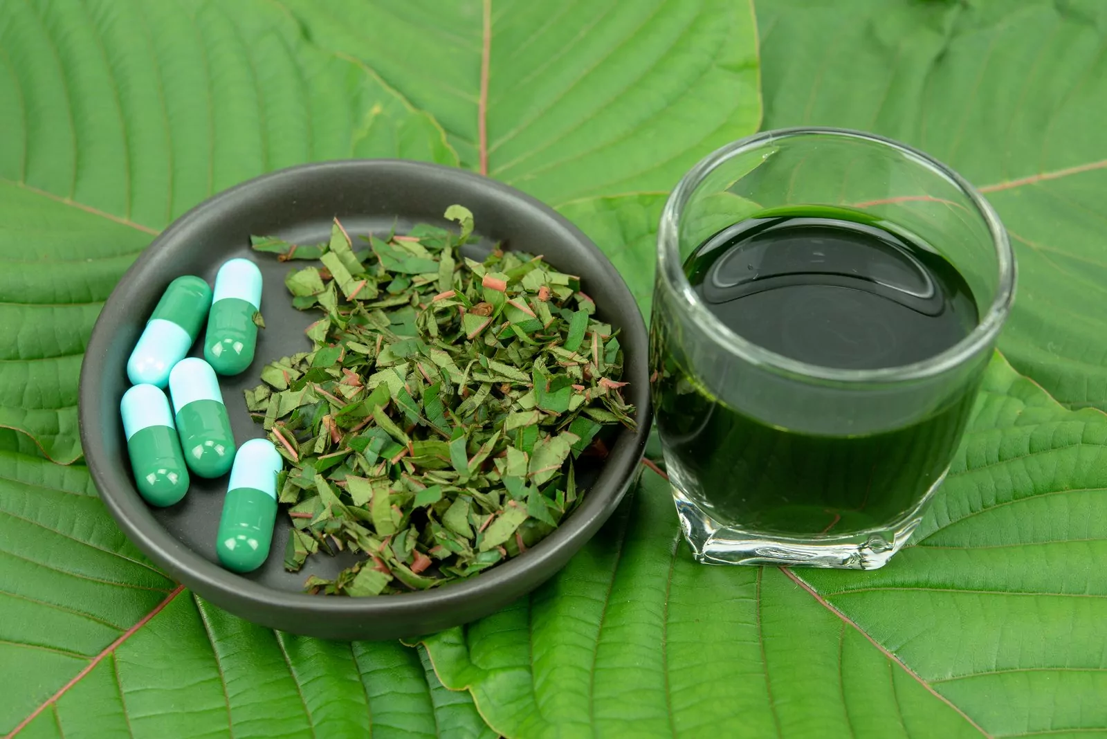 A Beginner’s Guide to Traditional Thai Kratom Tea